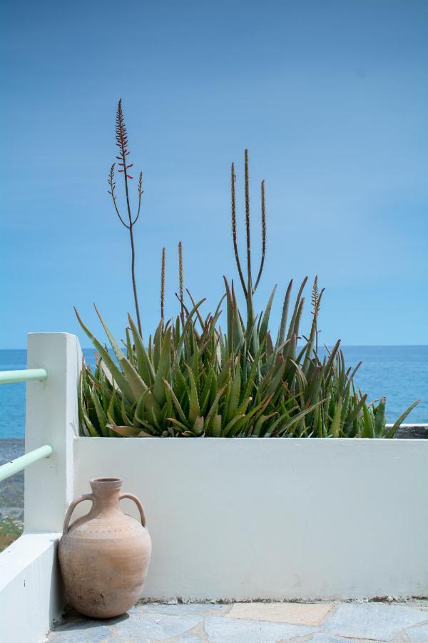 Stella'S Beach House Psari Forada Exterior photo